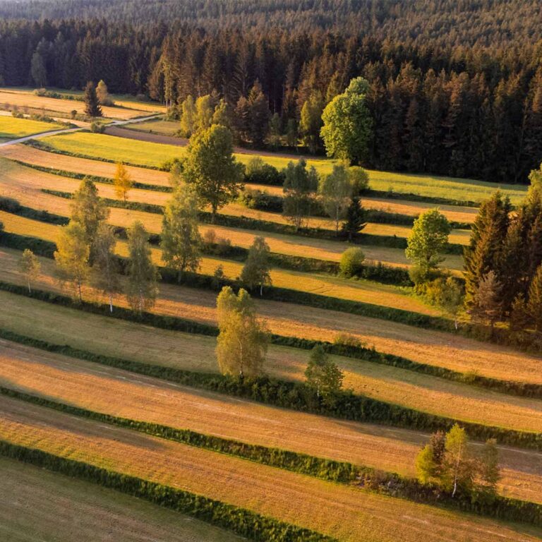 stiftung-landschaft